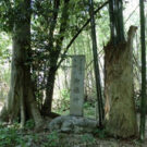 シガイの森の石碑